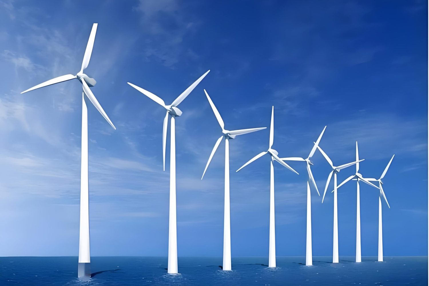 downloaded-image (3)